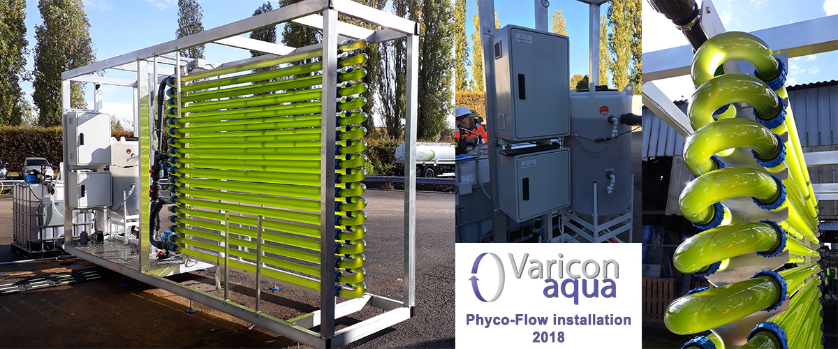 France Phycoflow installation for metal removal from industrial wastewater